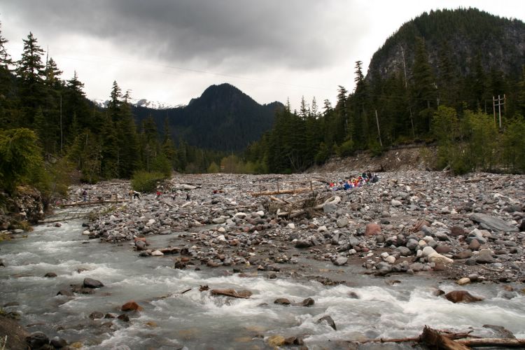 mt. rainier stream